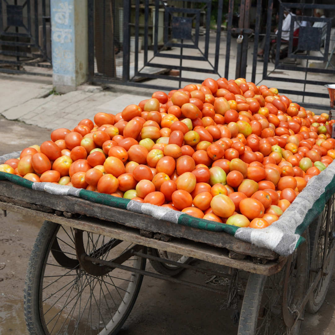 Fruit & Vegetable Cart